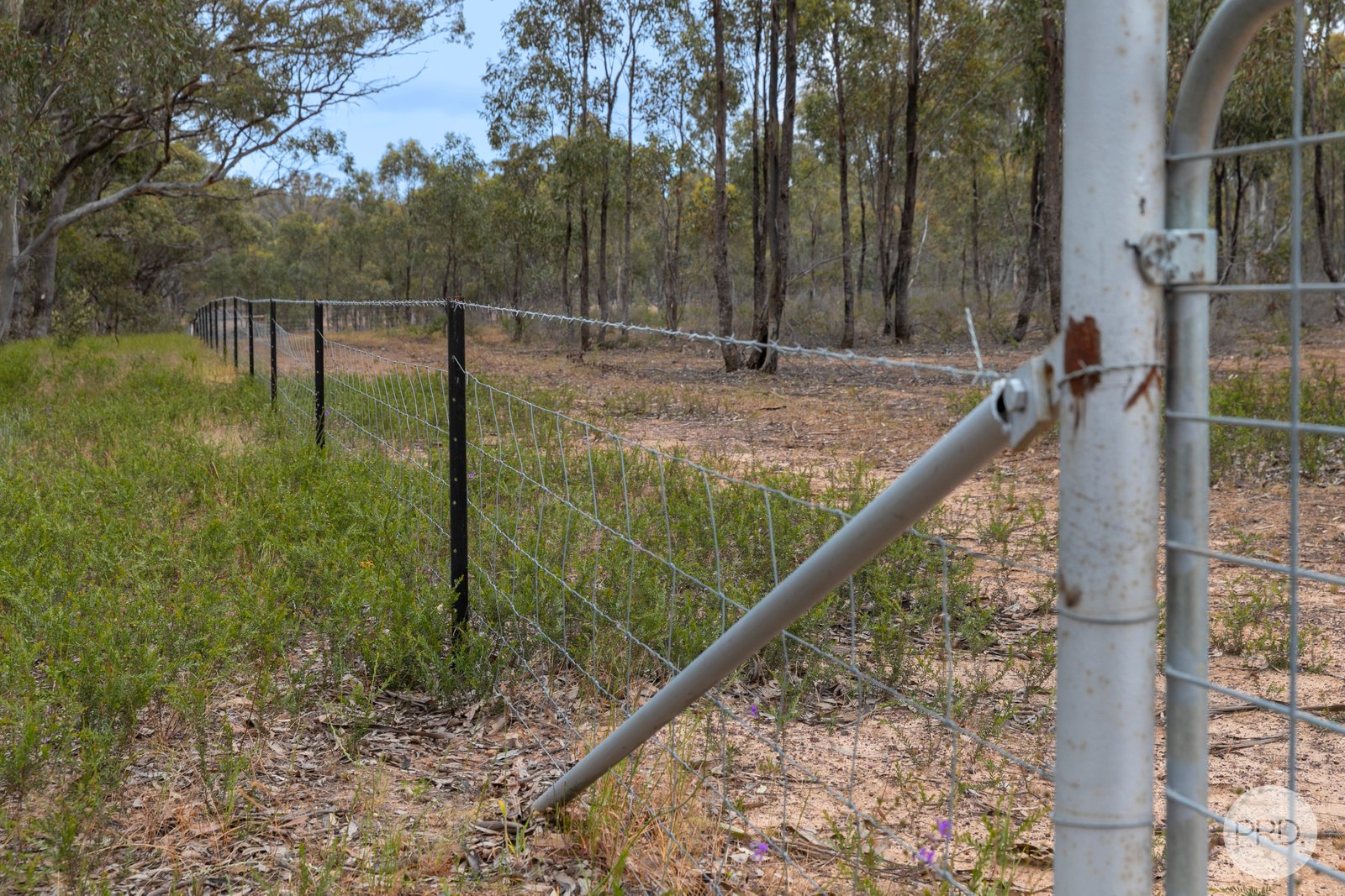 CA 288 Stawell-Avoca Road NAVARRE 11