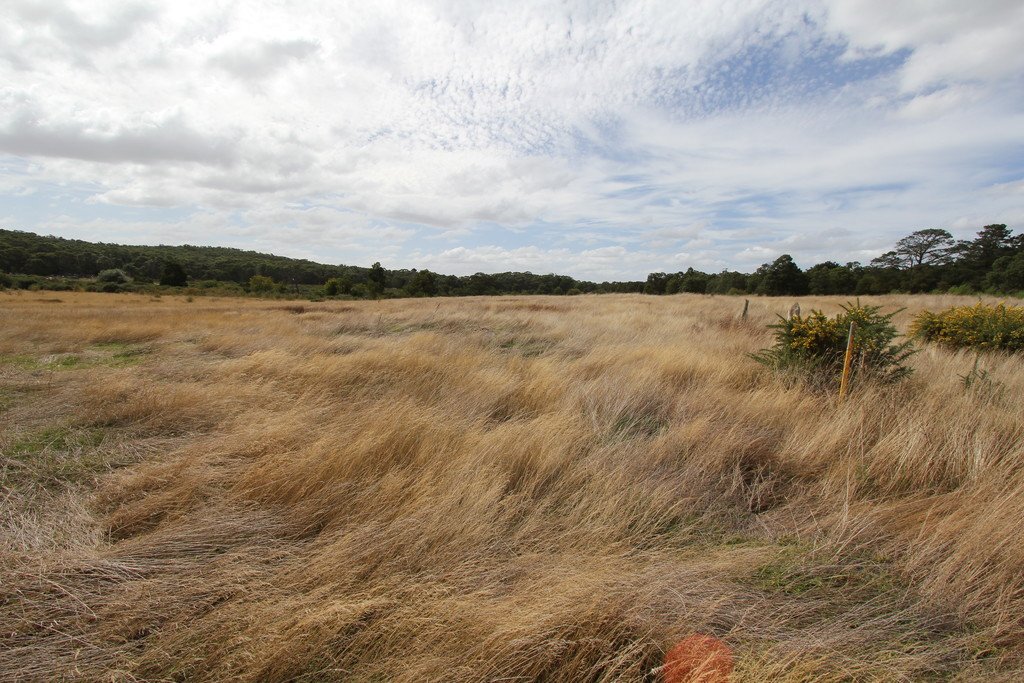 CA 29 & 30 Whites Road SMYTHESDALE 3