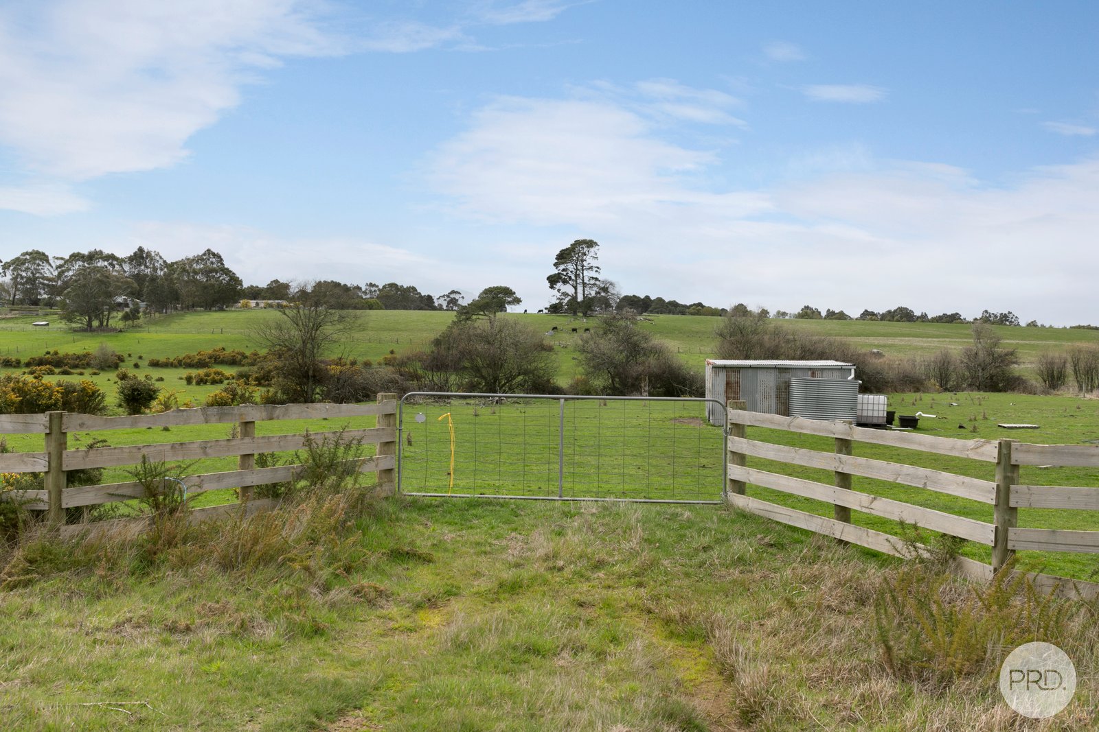 CA 3 Ryans Road YENDON 12