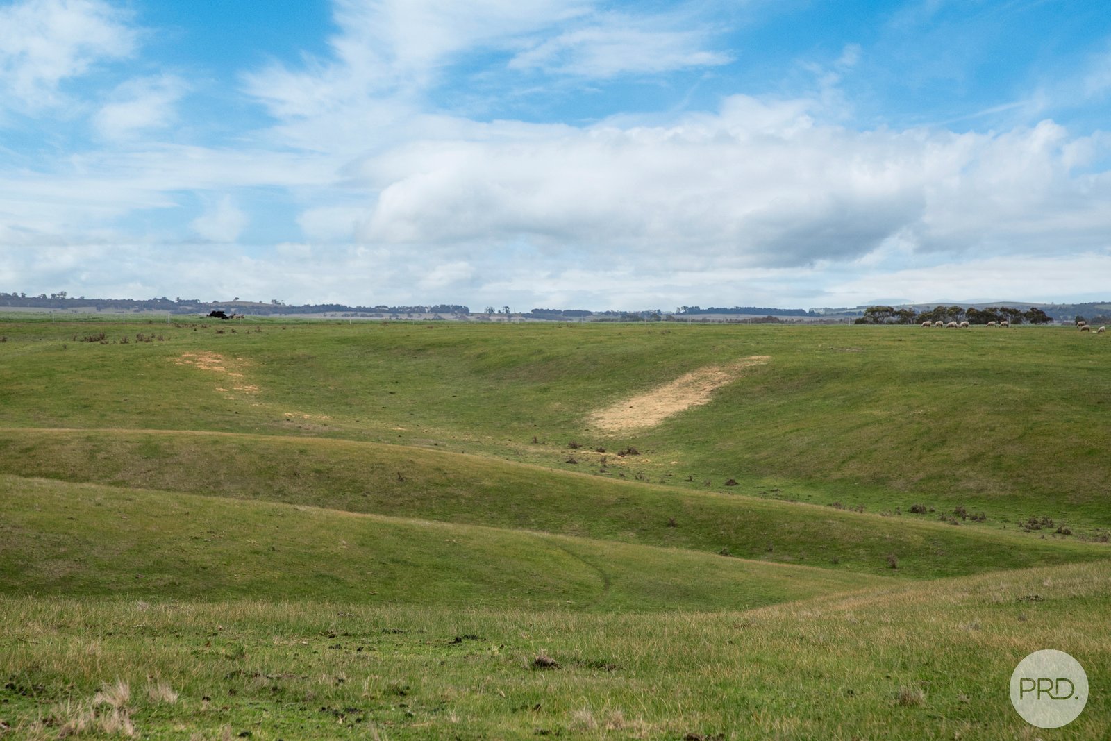 C/A 5A Snake Valley-Chepstowe Road CHEPSTOWE 4