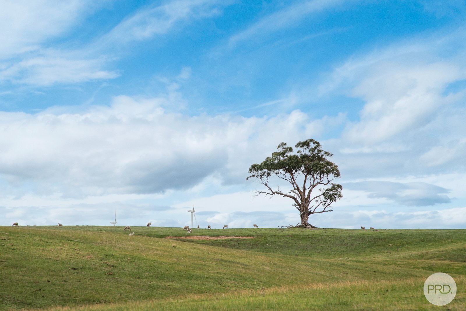 C/A 5A Snake Valley-Chepstowe Road CHEPSTOWE 6