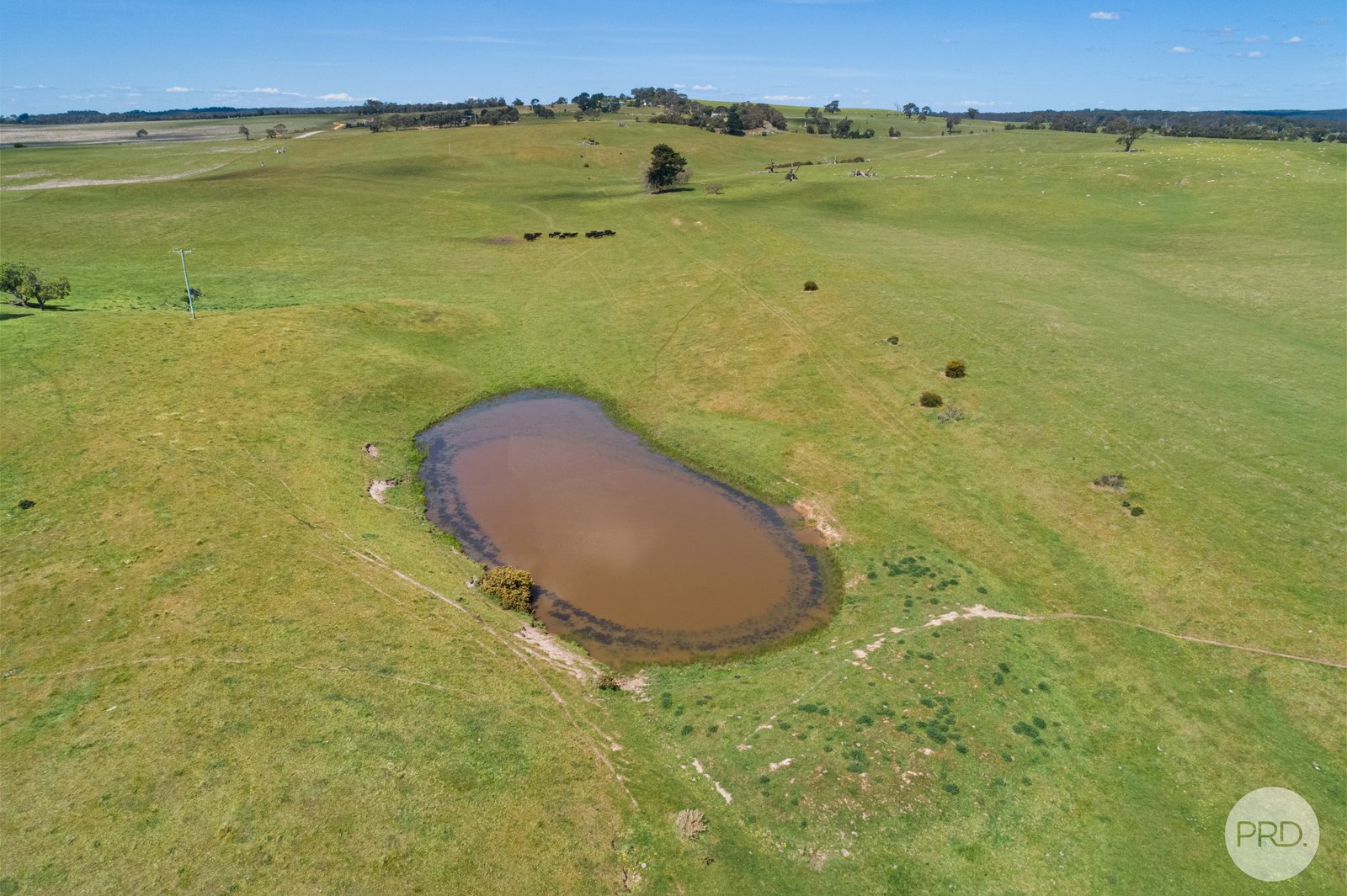 C/A 6 North South Road CHEPSTOWE 6