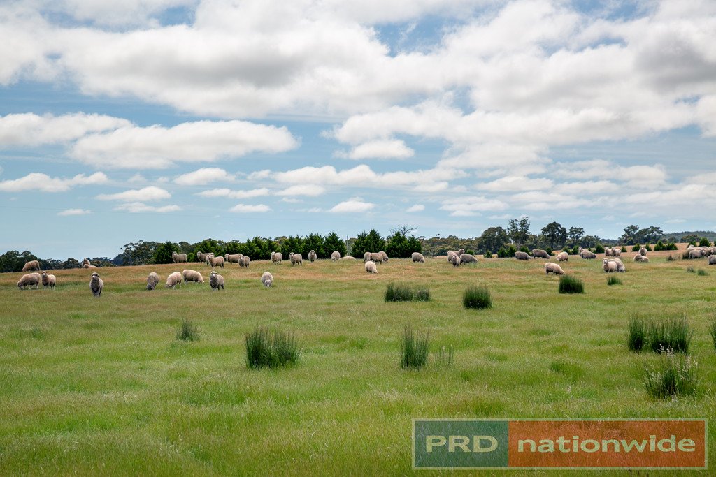 CA 73E Stockyard Hill Road BEAUFORT 7