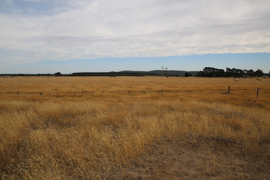 CA 86A Lillis Lane MOUNT EGERTON 1