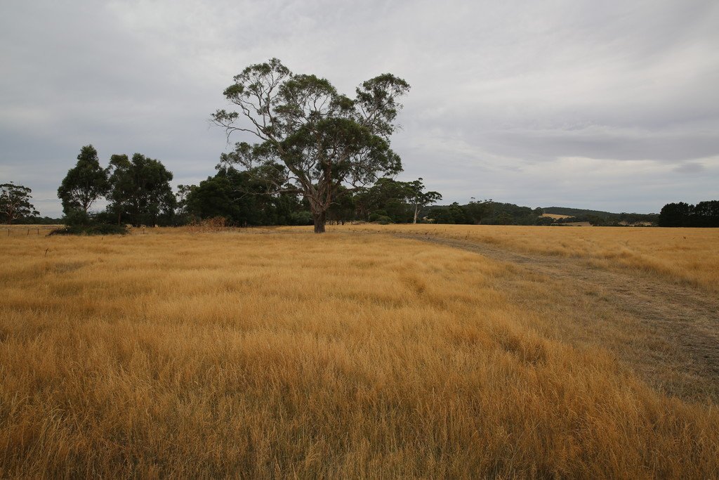 CA 86A Lillis Lane MOUNT EGERTON 3