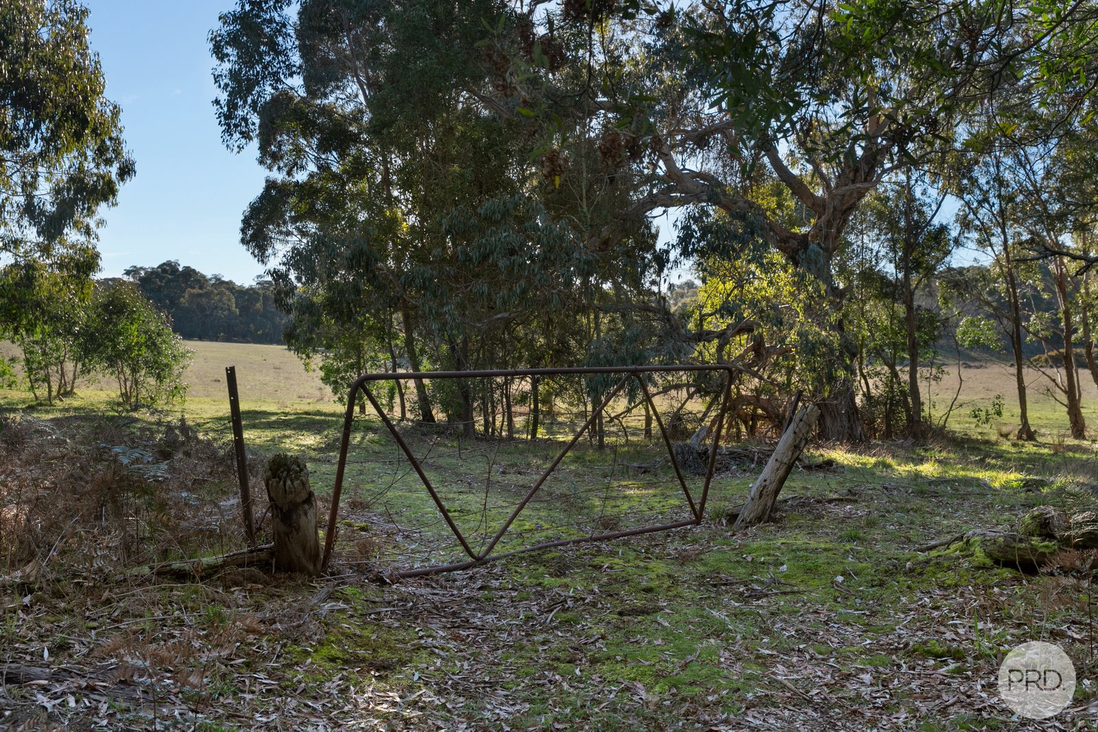 CA A14 Glenelg Highway LINTON 3
