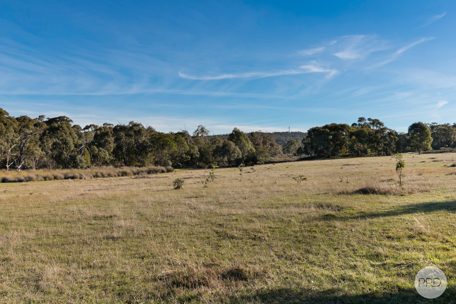 CA A14 Glenelg Highway LINTON 5