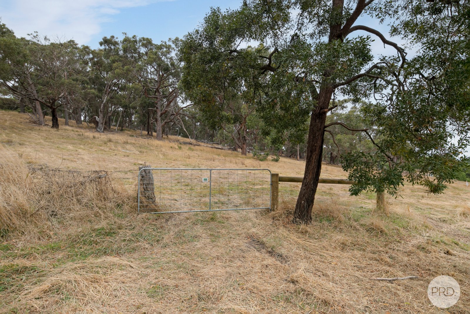 CA102 Strawberry Glen Lane BUNINYONG 4