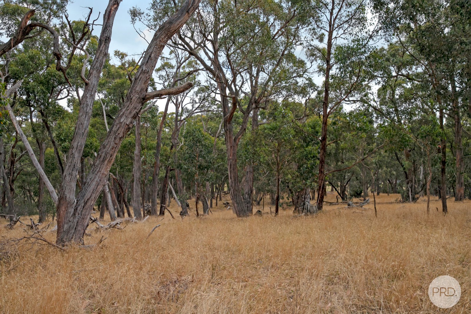CA102 Strawberry Glen Lane BUNINYONG 5