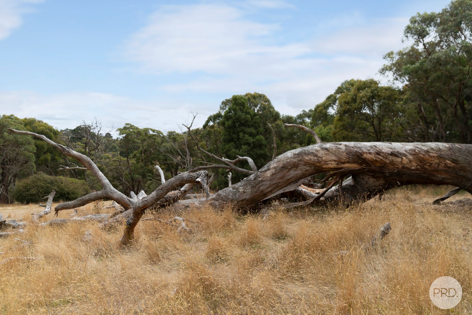 CA102 Strawberry Glen Lane BUNINYONG 6