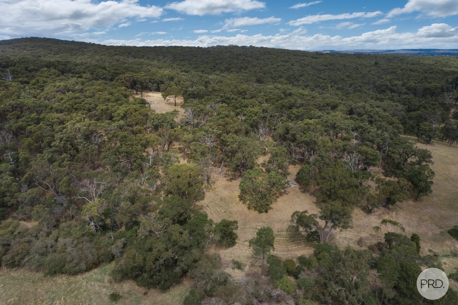CA102 Strawberry Glen Lane BUNINYONG 9