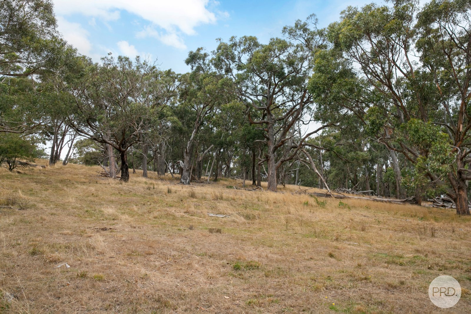CA102 Strawberry Glen Lane BUNINYONG 11