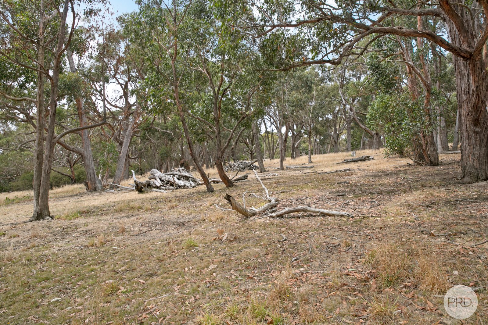CA102 Strawberry Glen Lane BUNINYONG 12