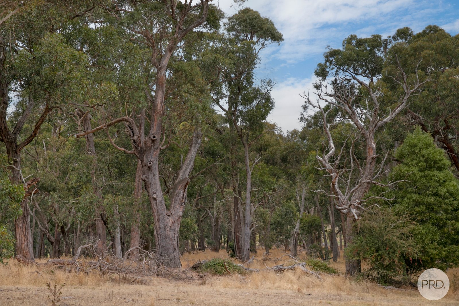 CA102 Strawberry Glen Lane BUNINYONG 14