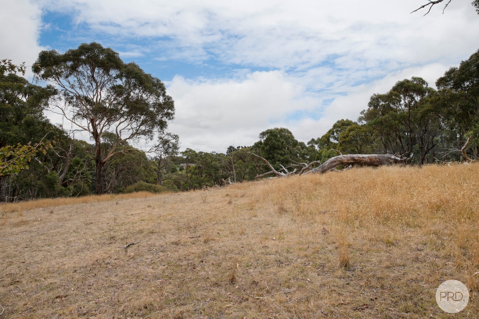 CA102 Strawberry Glen Lane BUNINYONG 15