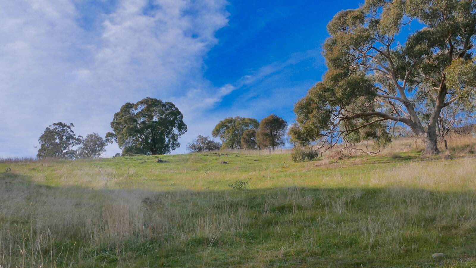 Real Estate and Property in CA4 Valley Road, Mia Mia, VIC