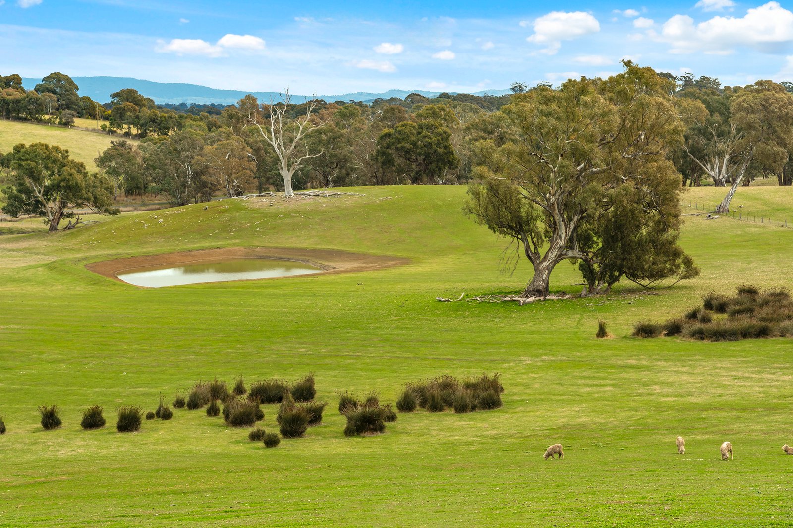 Real Estate and Property in CA64 Mia Mia-Lancefield Road, Mia Mia, VIC