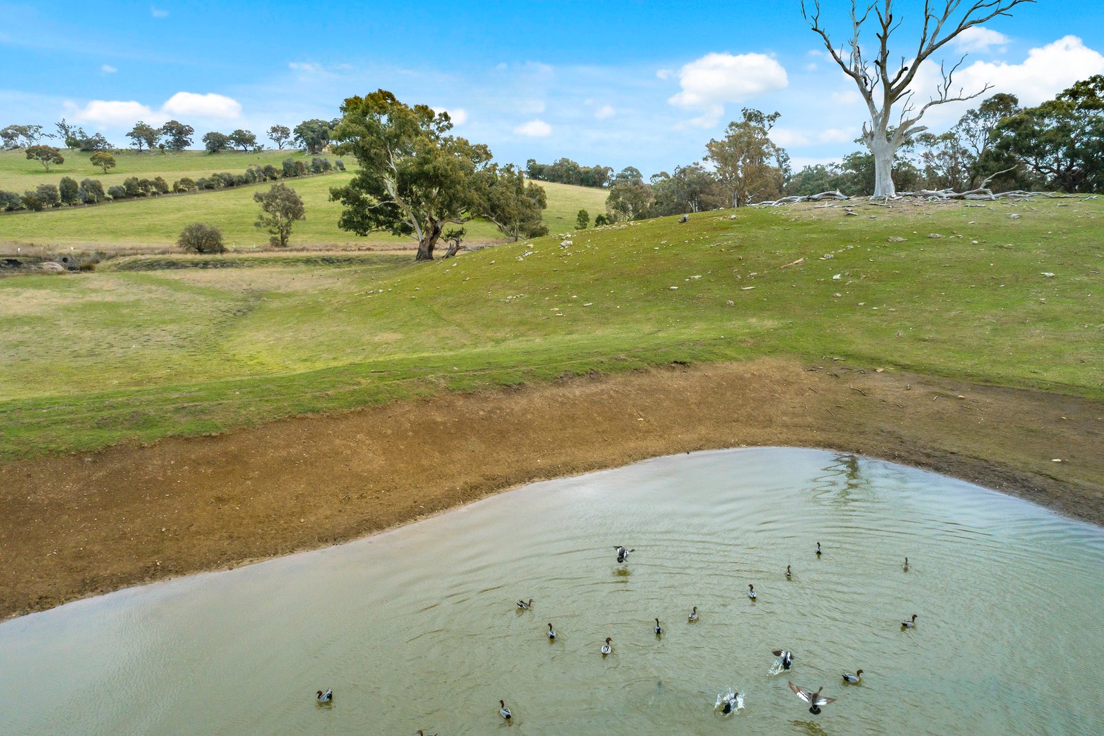 Real Estate and Property in CA64 Mia Mia-Lancefield Road, Mia Mia, VIC