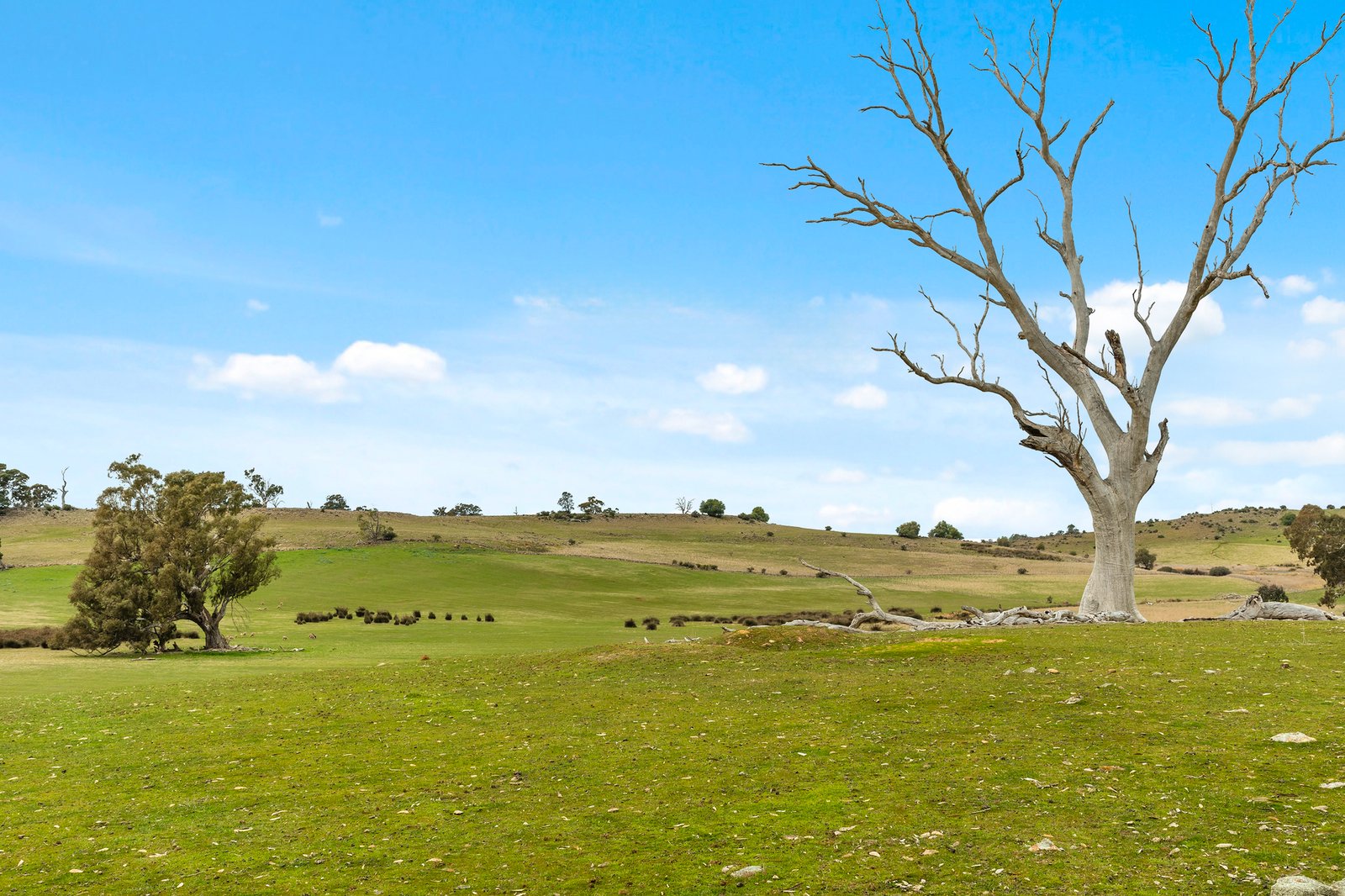 Real Estate and Property in CA64 Mia Mia-Lancefield Road, Mia Mia, VIC