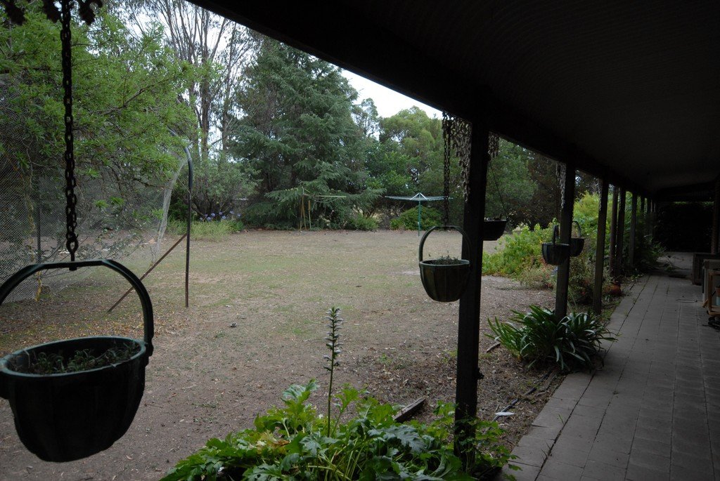  CARWOOLA 2