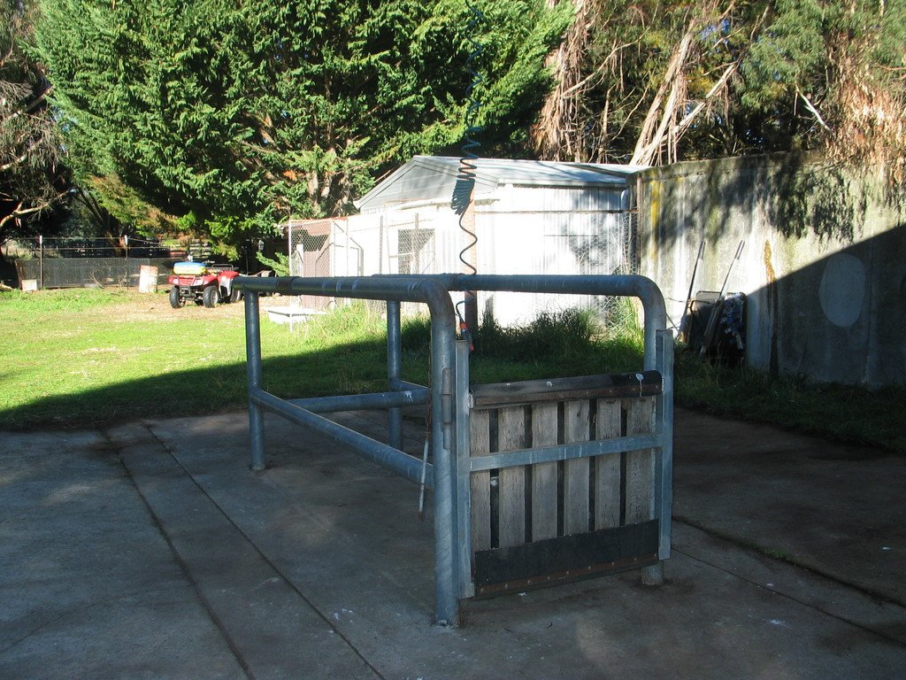  CARWOOLA 12