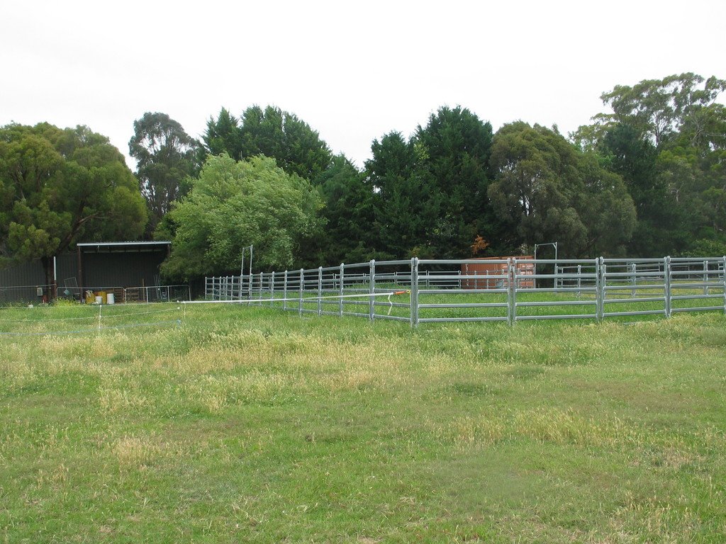  CARWOOLA 13