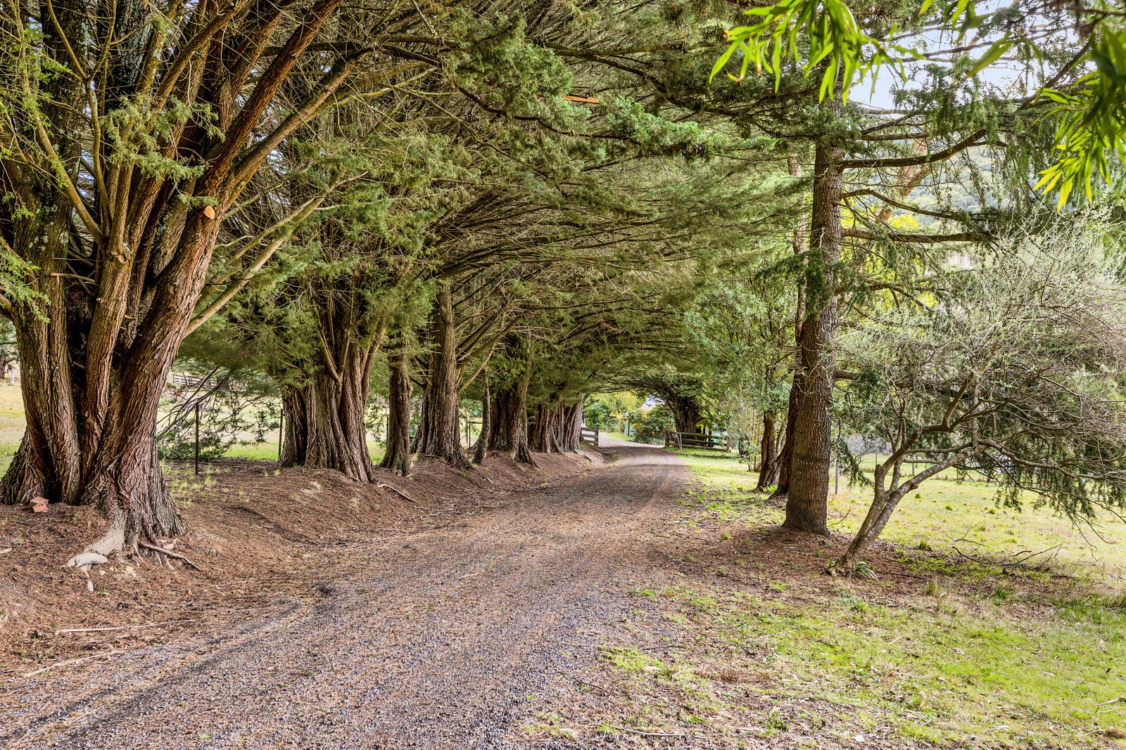 Real Estate and Property in Cherokee, VIC