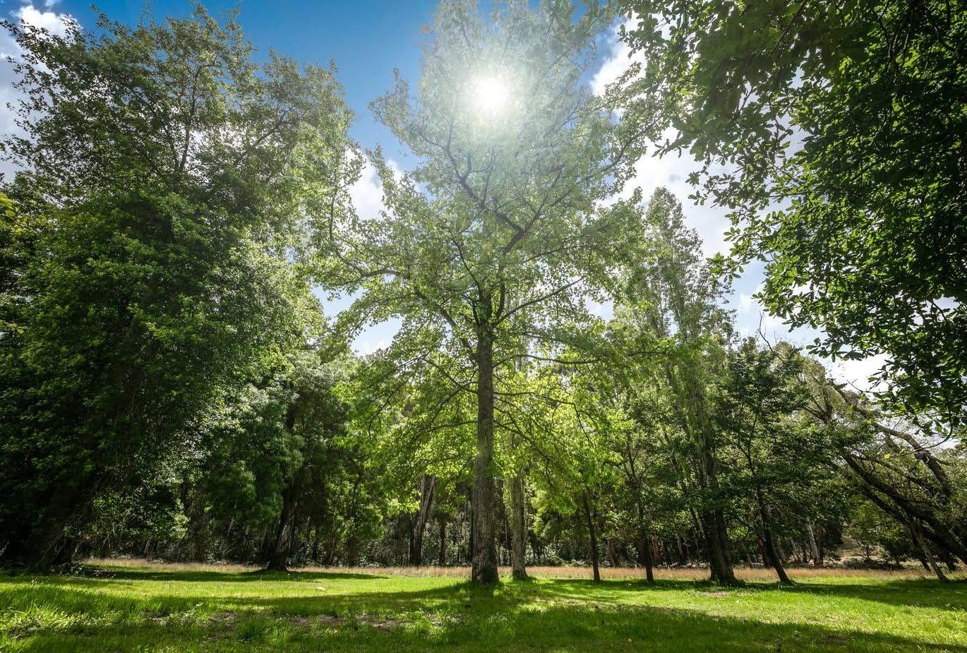 Real Estate and Property in Cherokee, VIC