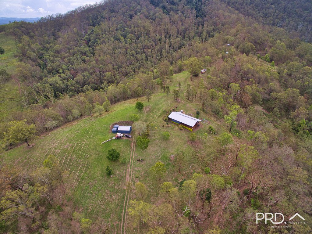 COLLINS CREEK 23