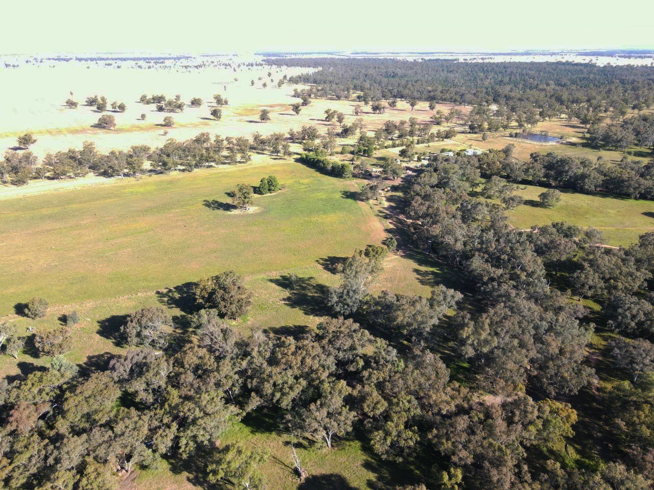 Coraki/3633 Bogan Road PEAK HILL 9