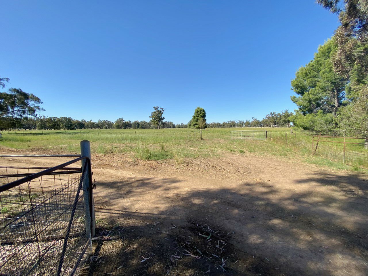 Coraki/3633 Bogan Road PEAK HILL 10