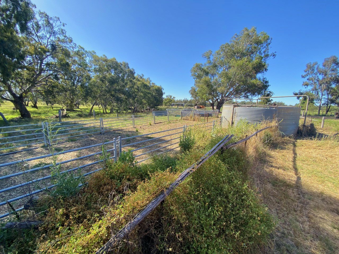 Coraki/3633 Bogan Road PEAK HILL 11
