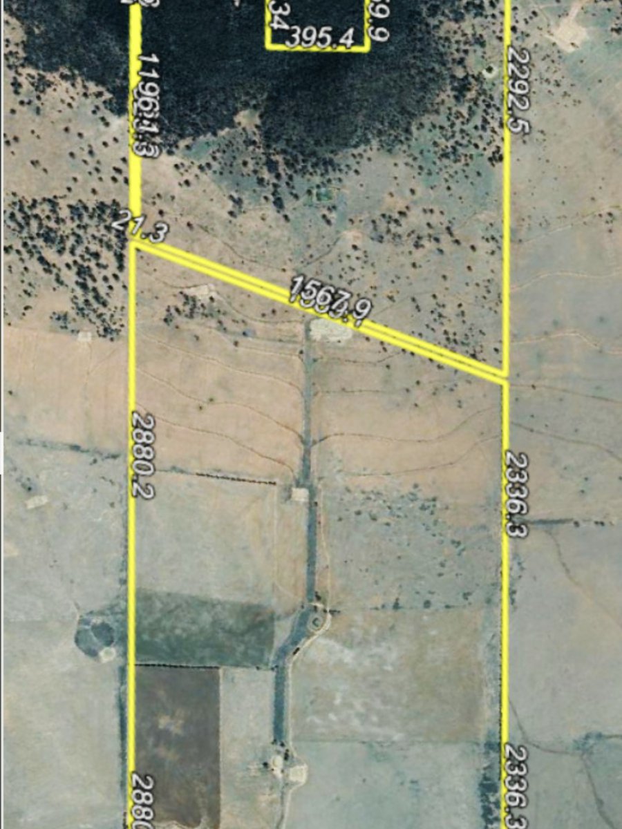 Coraki/3633 Bogan Road PEAK HILL 17