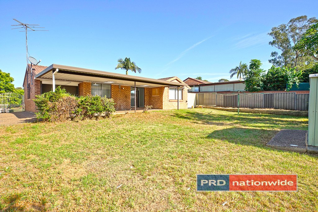  CRANEBROOK 8