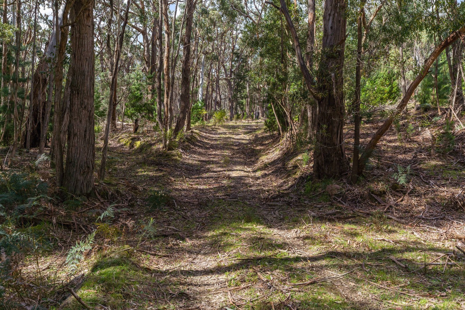 Real Estate and Property in Crown Allot 6 & 11/407 Lawson Road, Macedon, VIC