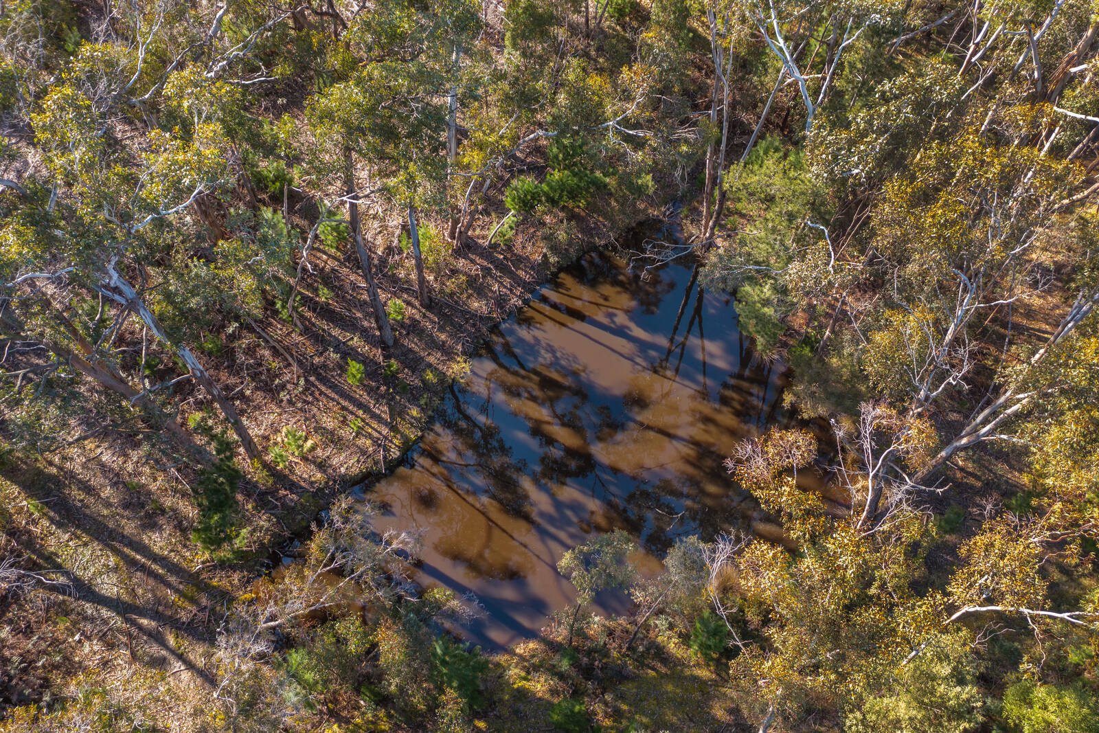 Real Estate and Property in Crown Allot 6 & 11/407 Lawson Road, Macedon, VIC