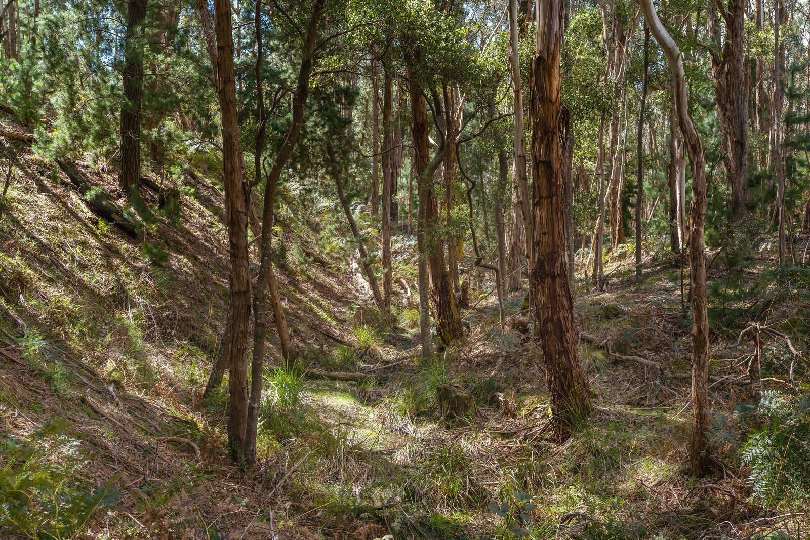 Real Estate and Property in Crown Allot 6 & 11/407 Lawson Road, Macedon, VIC