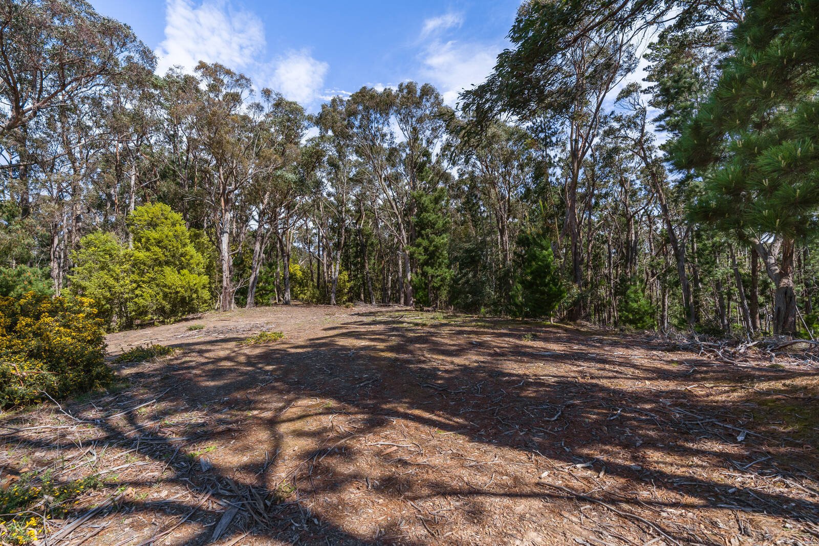 Real Estate and Property in Crown Allot 6 & 11/407 Lawson Road, Macedon, VIC