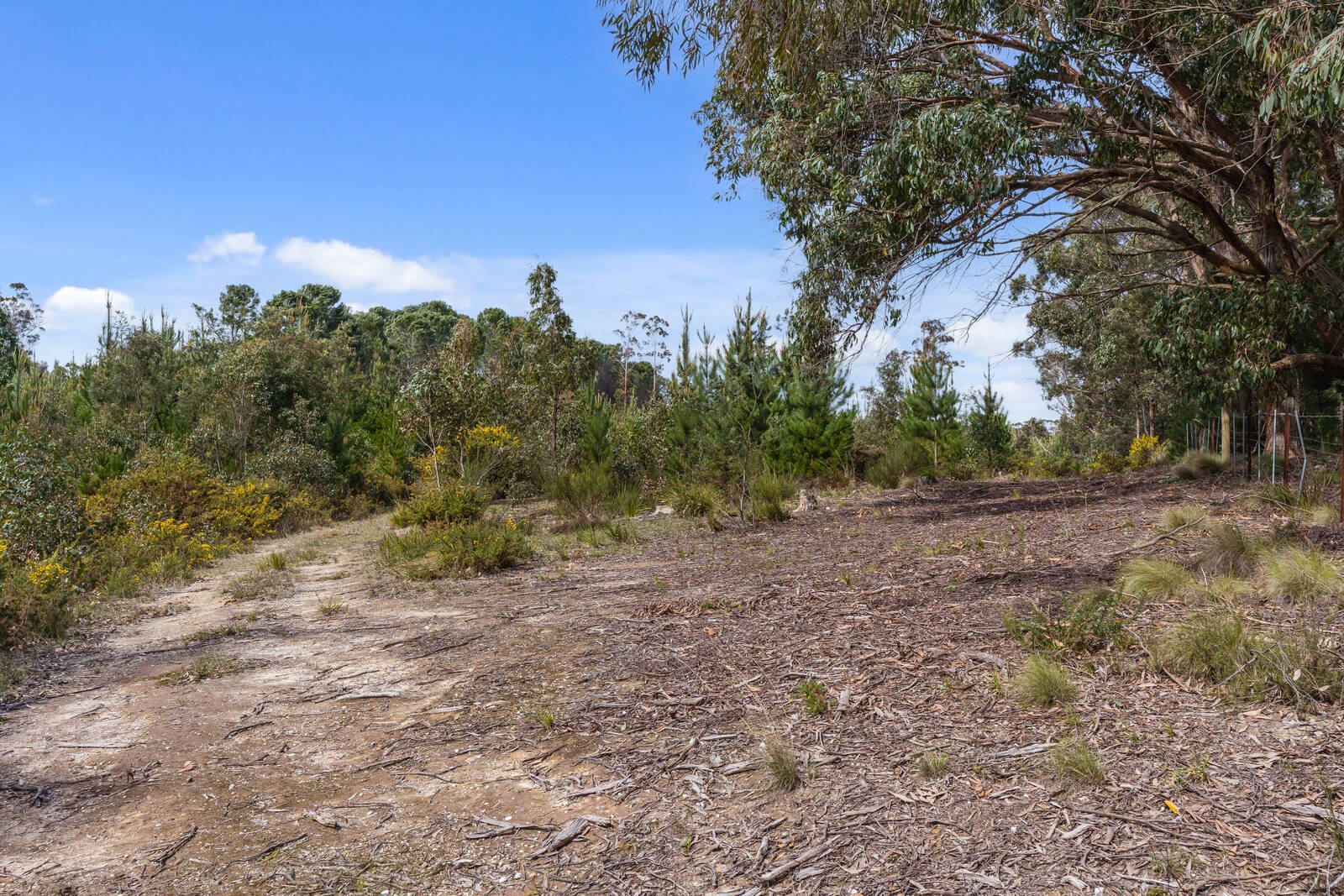 Real Estate and Property in Crown Allot 6 & 11/407 Lawson Road, Macedon, VIC