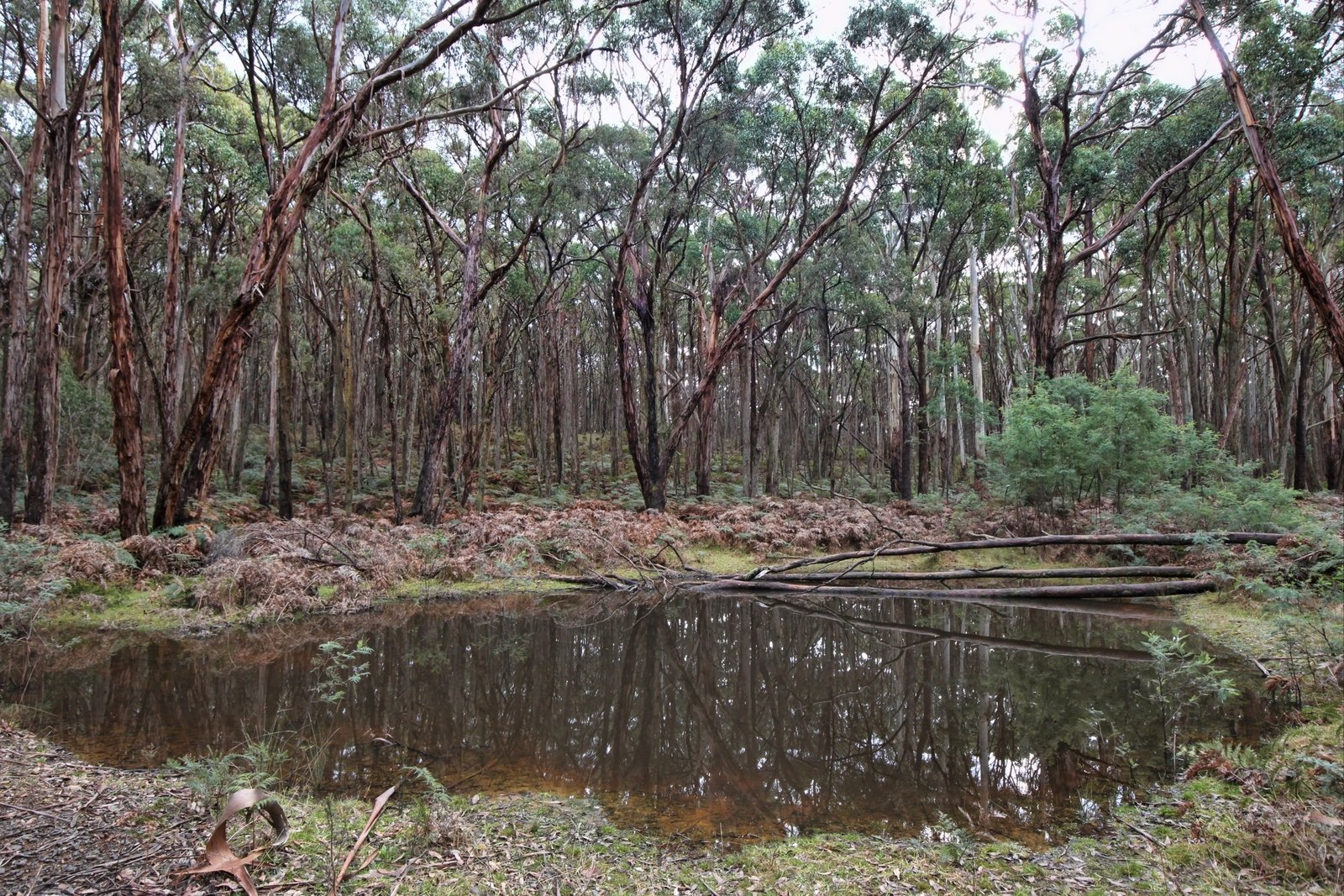 Real Estate and Property in Crown Allotment 29 Salisbury Road, Spring Hill, VIC