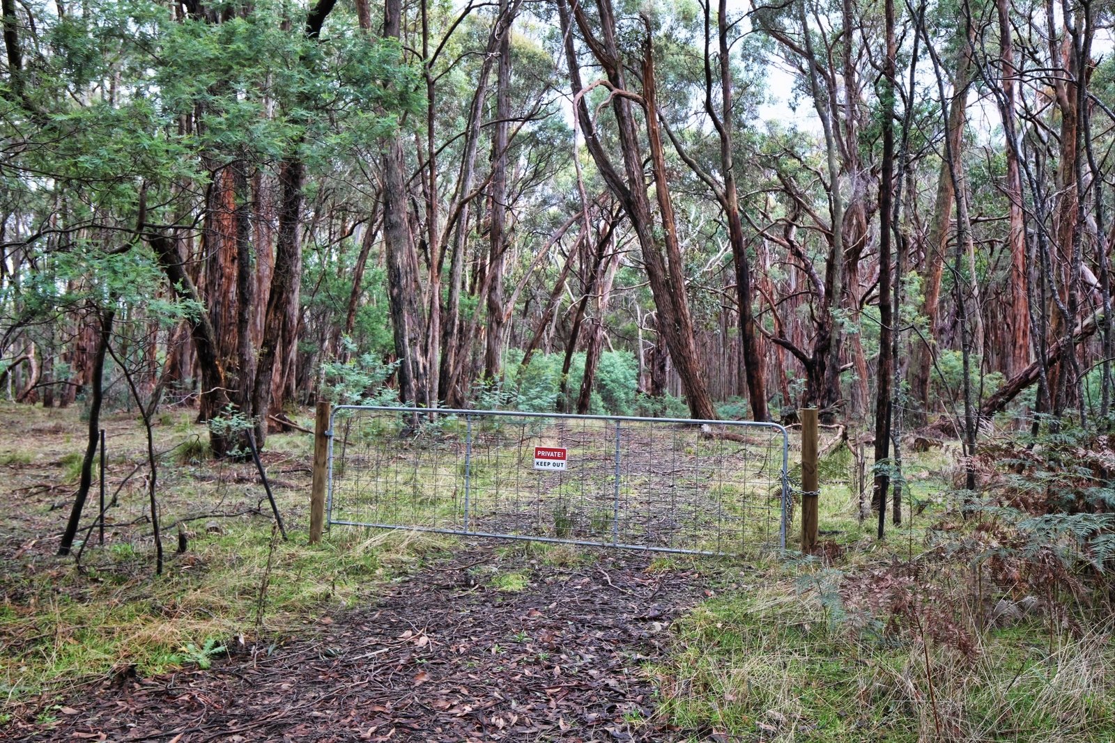 Real Estate and Property in Crown Allotment 29 Salisbury Road, Spring Hill, VIC