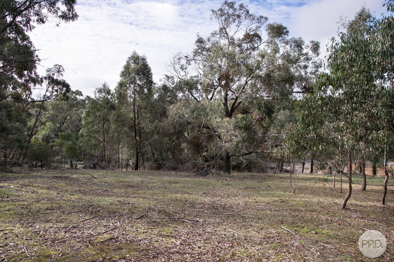Crown Allotment A14 Glenelg Highway LINTON 4