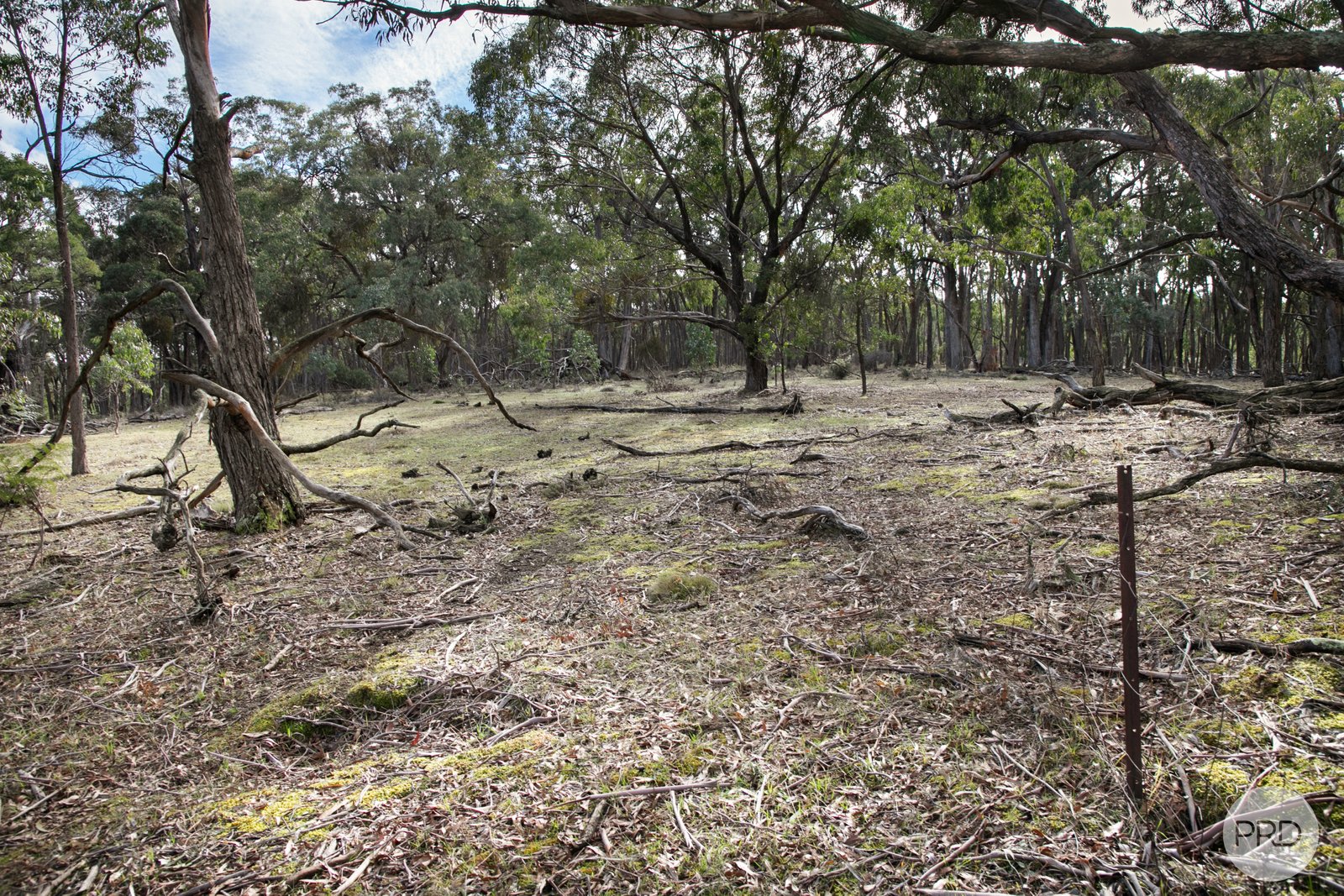 Crown Allotment A14 Glenelg Highway LINTON 5