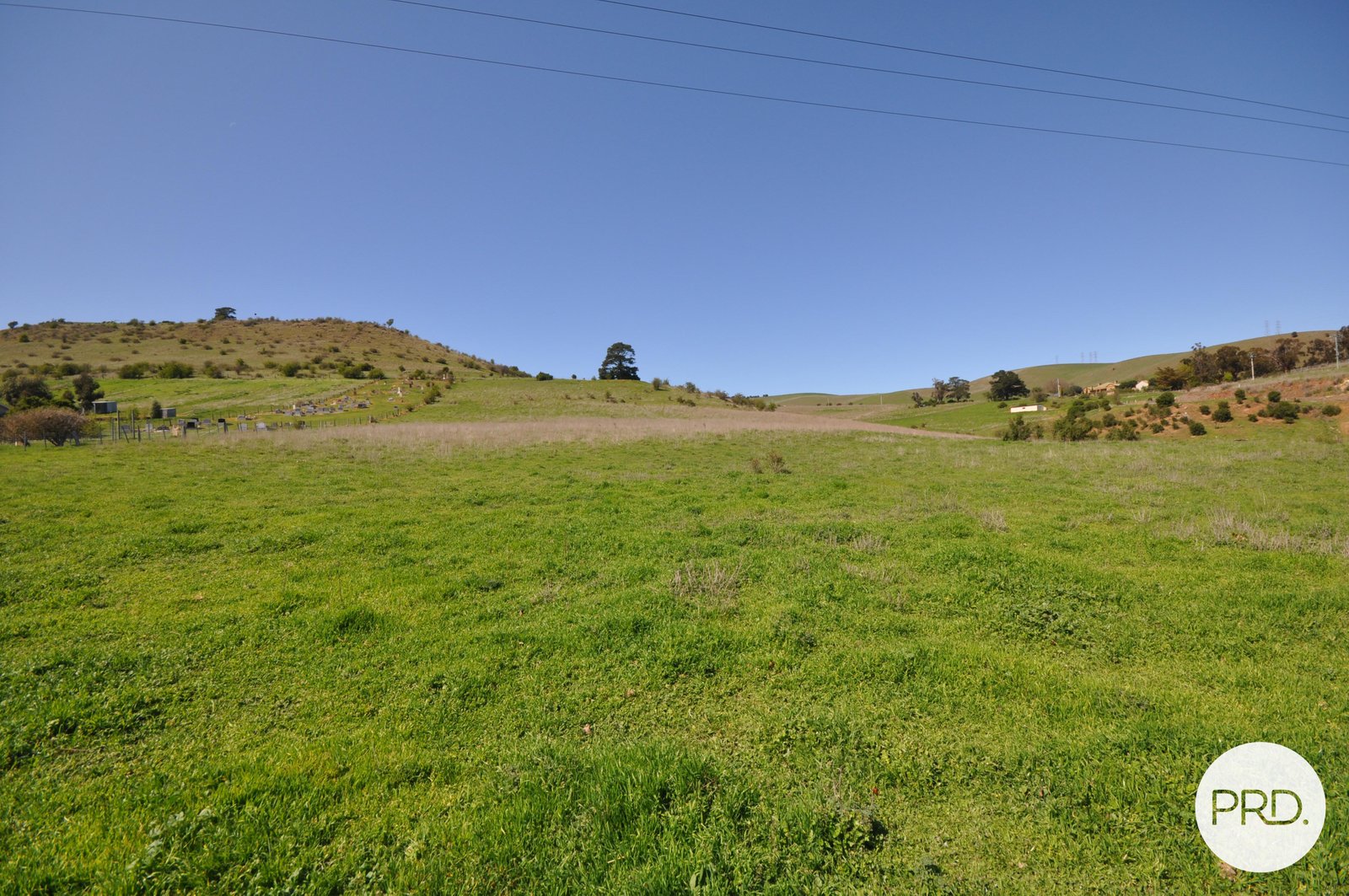  Cumberland Street HAMILTON 8