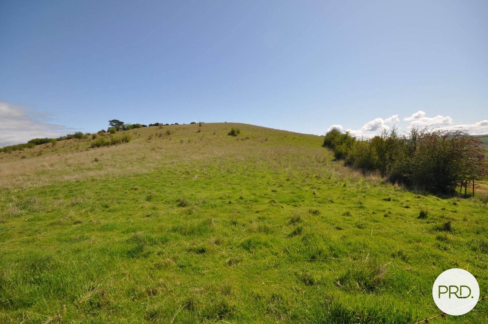  Cumberland Street HAMILTON 9