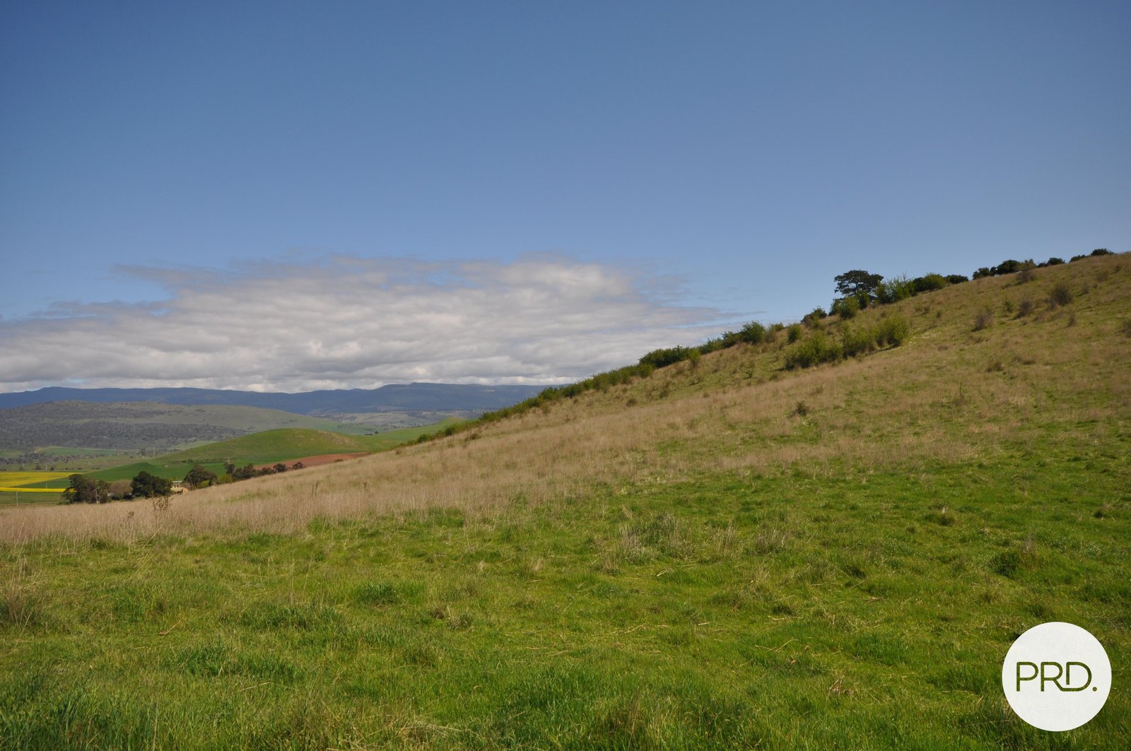  Cumberland Street HAMILTON 10