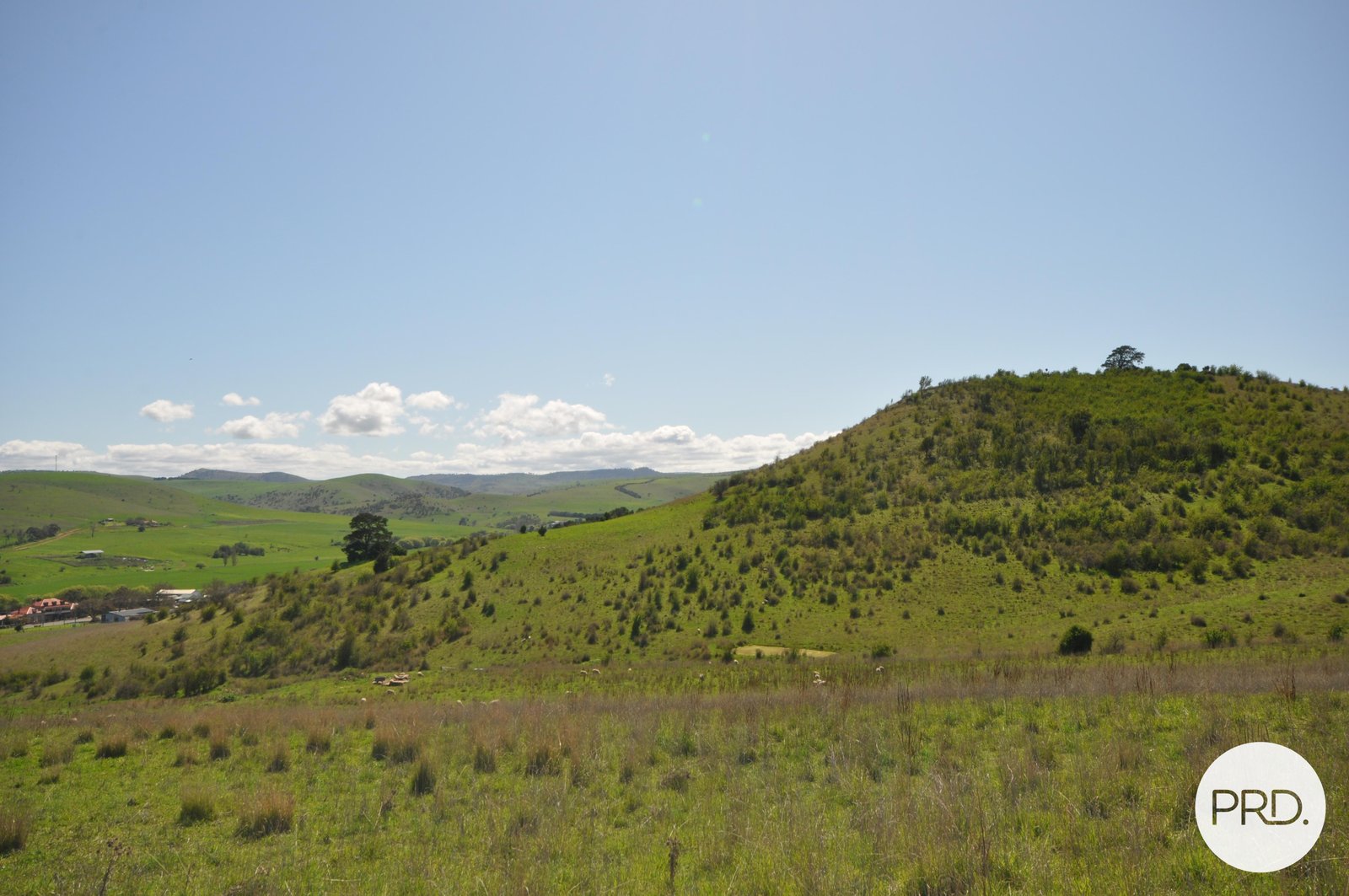  Cumberland Street HAMILTON 11