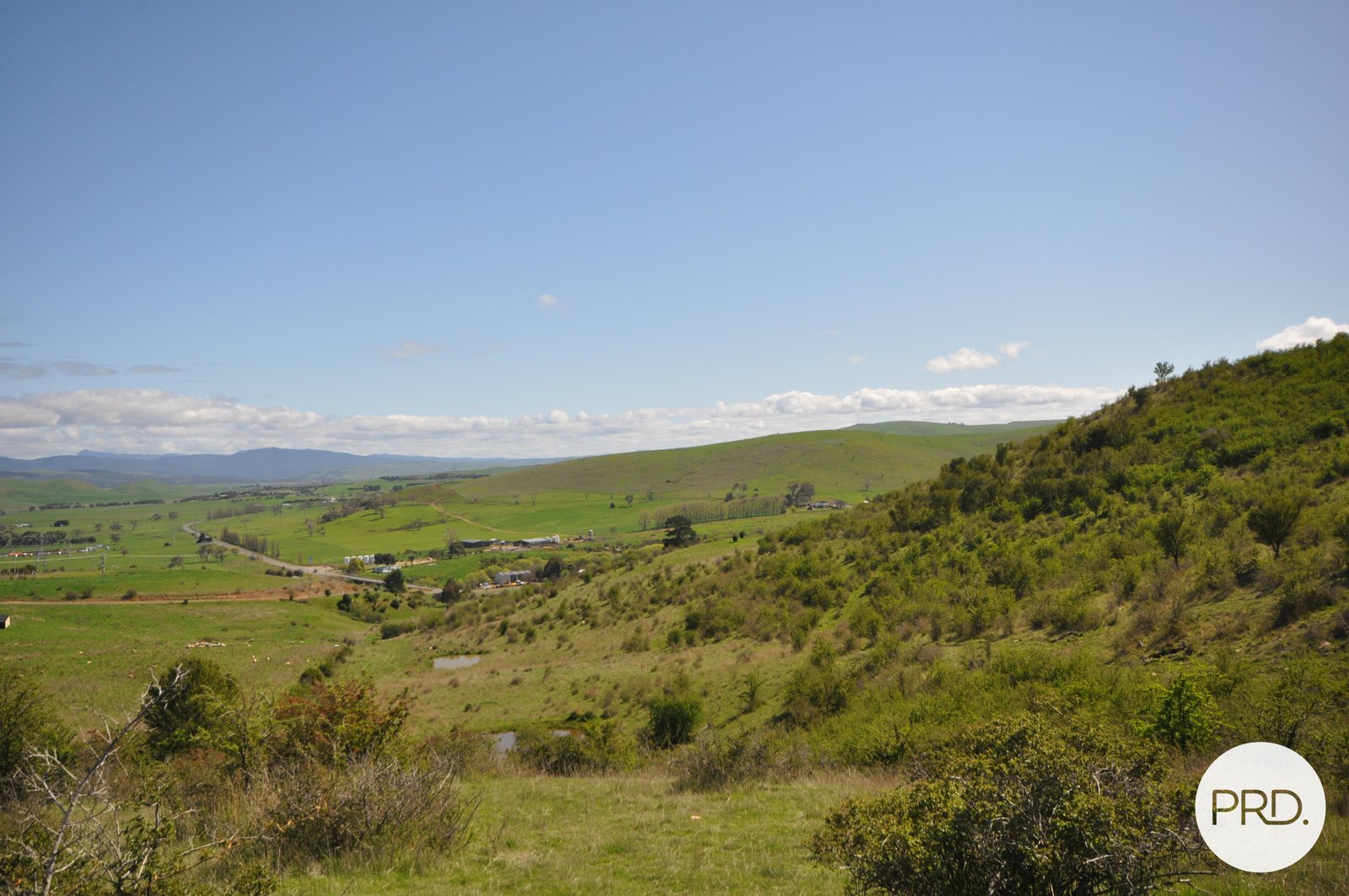  Cumberland Street HAMILTON 12