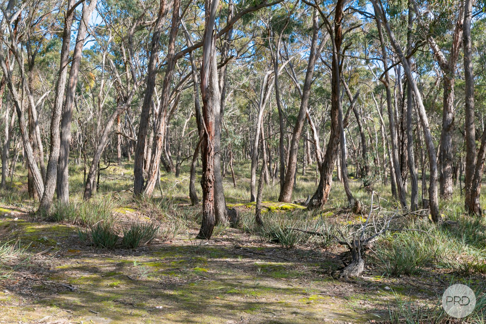  Donald McLeans Road BERRINGA 3