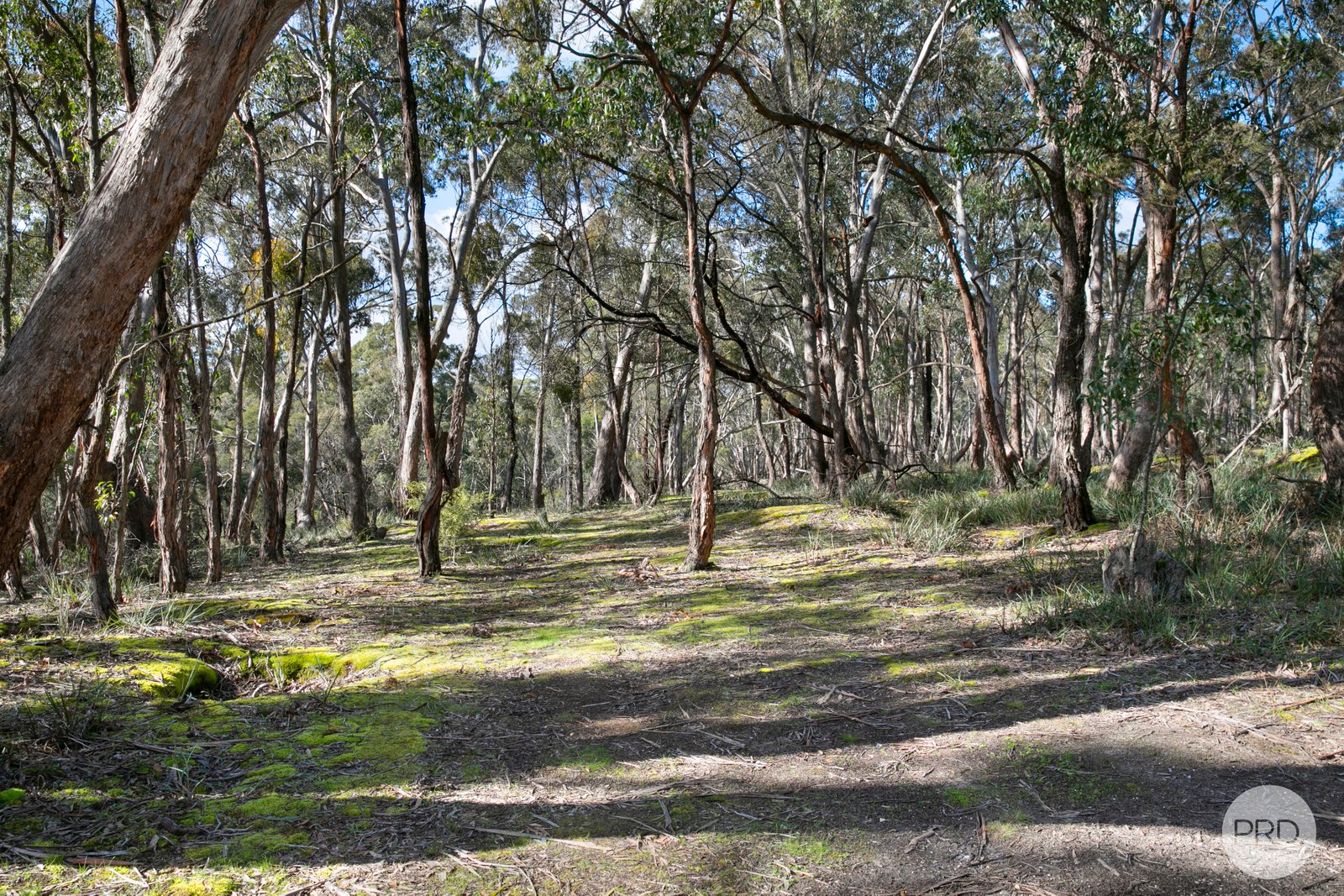  Donald McLeans Road BERRINGA 4